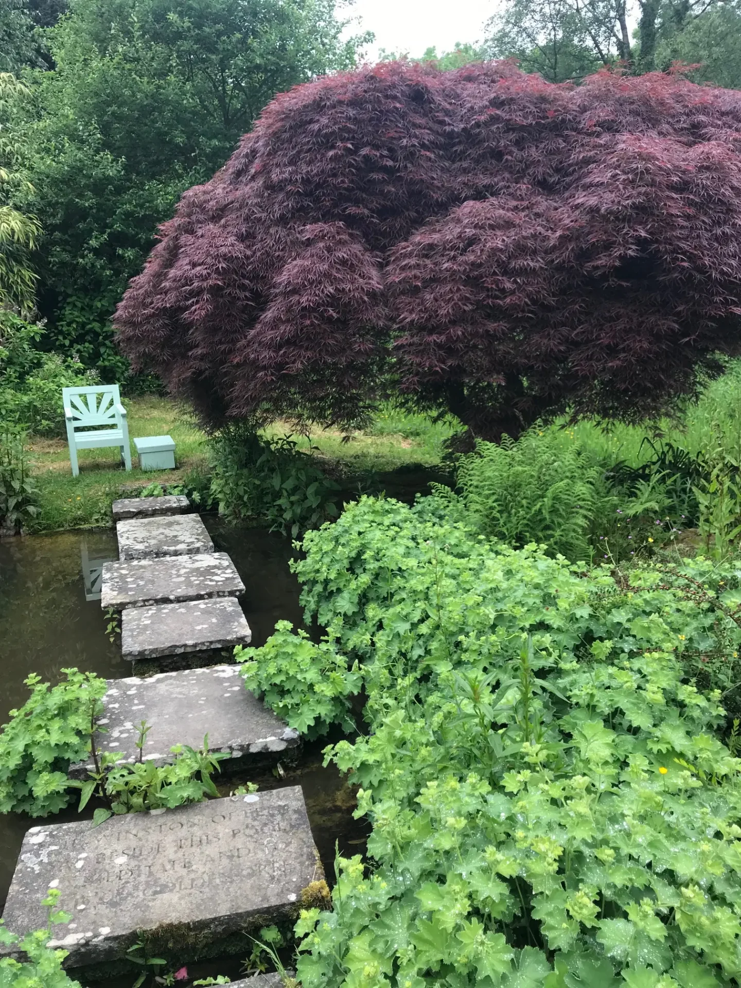 Stepping stones leading through a peaceful green garden.