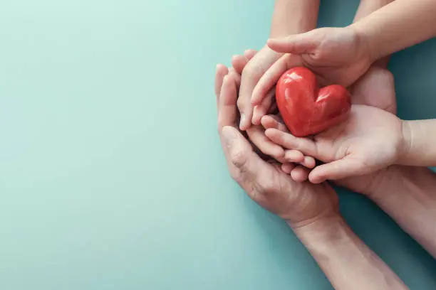 Hands gently holding a red heart, symbolising care and support.