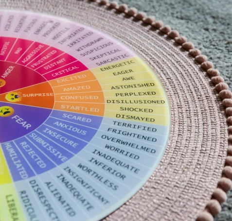 Close-up of a colourful emotions wheel.